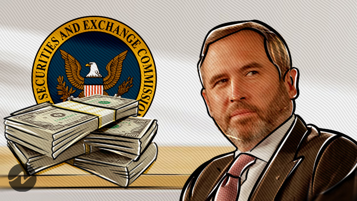 Ripple CEO Discloses the Expenses for Its Lawsuit Against SEC