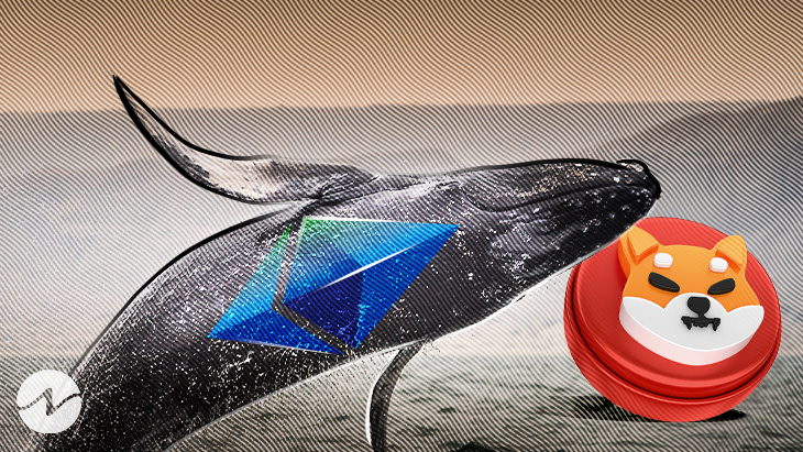 Ethereum Whales Sold a Massive Amount of SHIB Tokens Amid Its Surge