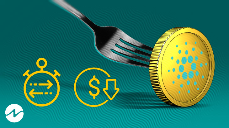 Cardano After the Vasil Hard Fork: Future Upgrades