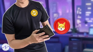 Shiba Inu Holdings on Binance Totals to $800 M