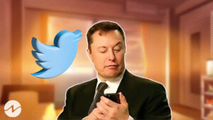 Elon Musk’s Warning for Twitter Scammers Impacted the Fall in Crypto Bots?