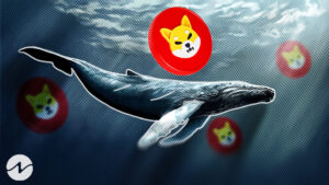 Shiba Inu Worth $16.56M Moved by Whales as Market Rebounds