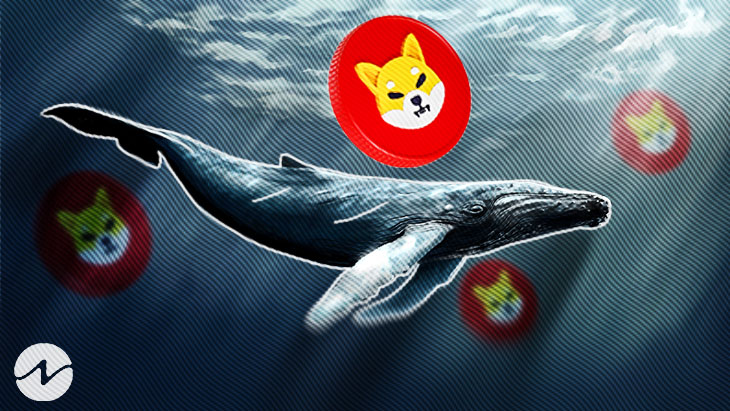 shiba-whale-wallets-with-billions-hounded-by-crypto-detectives