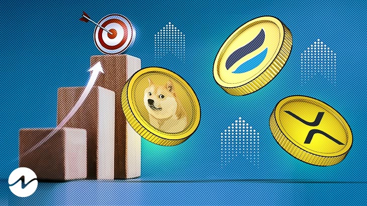 The Top 3 Gainers in the Past 24 Hours - HT, DOGE and XRP
