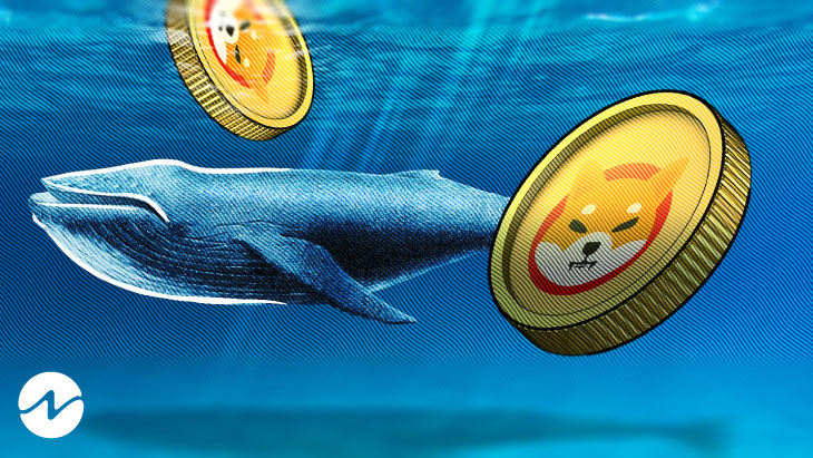 Whales Acquire Over a Trillion SHIB Post Recent Development