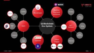 QI Blockchain Ecosystem: The Fastest Growing Ecosystem in the World