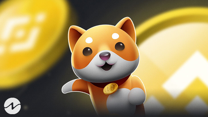 Baby Doge Coin Is Now Available on More Exchanges