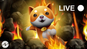 Baby Doge Burn Portal is Live: 11 Trillion BABYDOGE Burnt So Far