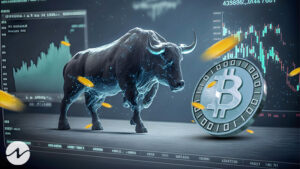 Is Crypto Market Experiencing the Next Bull Run?