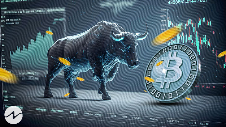 when is the next bitcoin bull run