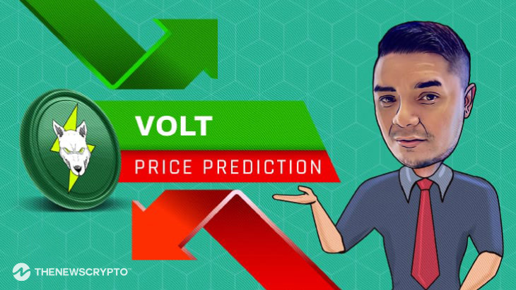 volt price crypto