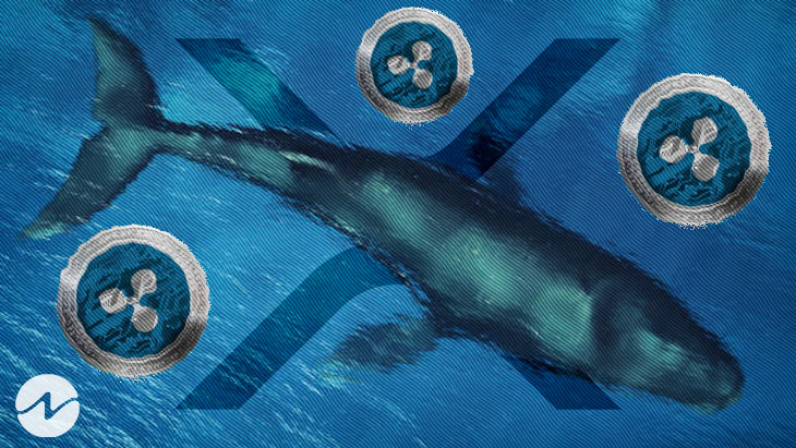 Whales Acquire Over 146 Million XRP Amid Recent Developments