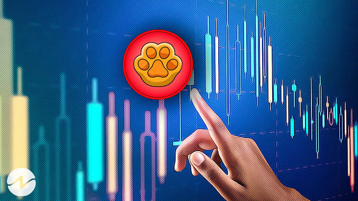 paws crypto price