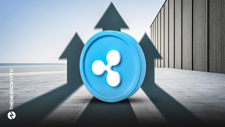 Millions in XRP Shifted As Ripple Case Options Emerge Post-Appeal Denial