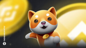 BabyDoge Gets Into Next Level of Advancement Ensuring User Security