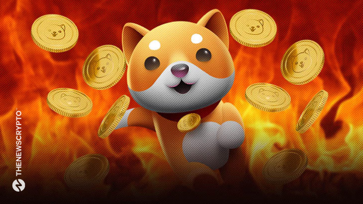 Baby Doge Coin