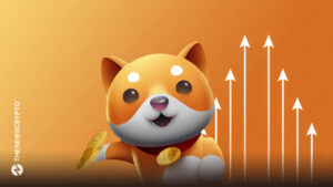 Baby Doge Coin Responds on Why Ethereum Over BNB Chain