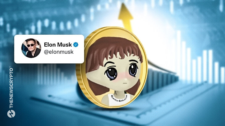 Milady NFTs Trading Volume and Price Surges Post Elon Musk Tweet