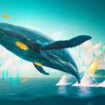 Binance Receives Massive Deposit from Mystery Whale