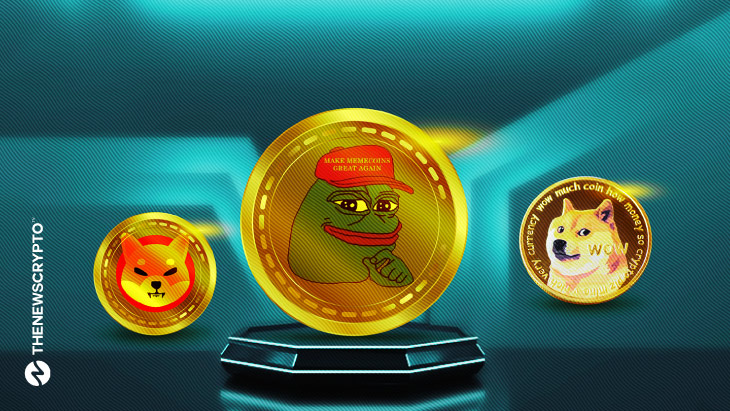 Can Memecoins Make You Rich?  CryptoTvplus - The Leading