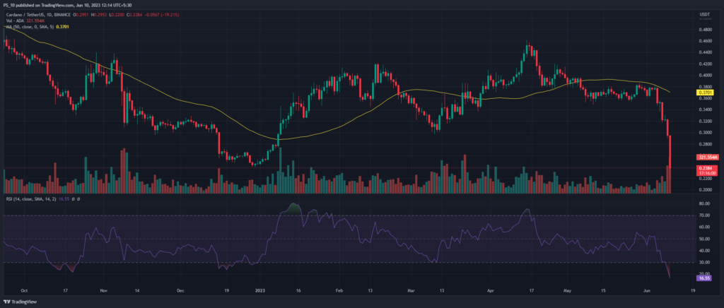 Graphique des prix Cardano (ADA) 24H (Source : TradingView)