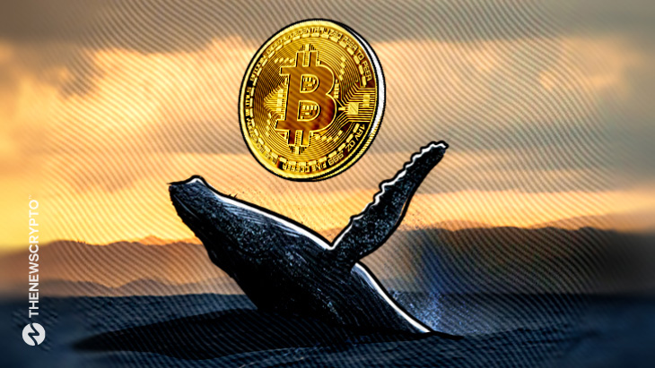 Mysterious Bitcoin Whale