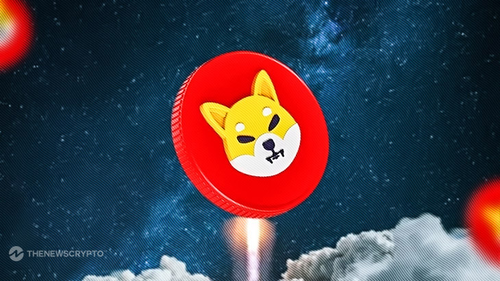 Shiba Inu Price Rally Sparks Massive 260% Increase in High-Volume SHIB Transactions