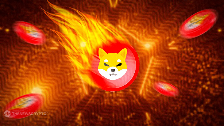 Shiba Inu Team Plans Massive 9.25 Trillion SHIB Burn