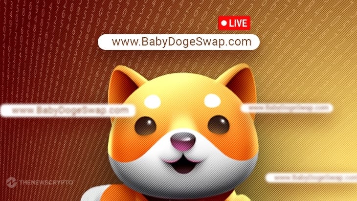BabyDogeCoin Launches Own DEX Dubbed BabyDogeSwap
