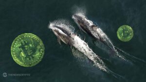 Whales Accumulate Massive $3.5 Billion Worth of Bitcoin