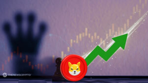 Shiba Inu (SHIB) Price on the Rise, A Positive Outlook for Investors?