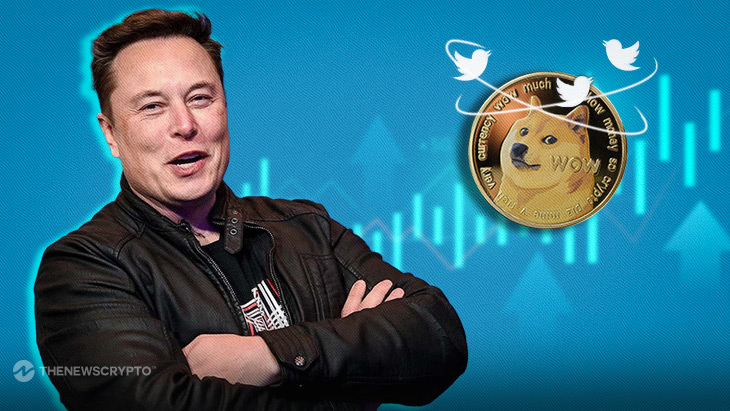 Elon Musk Tweet About Doge Sparks a Momentary Pump