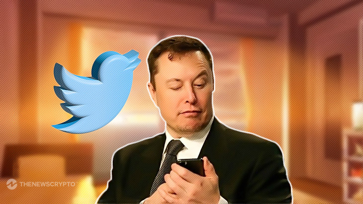 Elon Musk's Cryptic Tweet Sparks Speculation Among Dogecoin Army