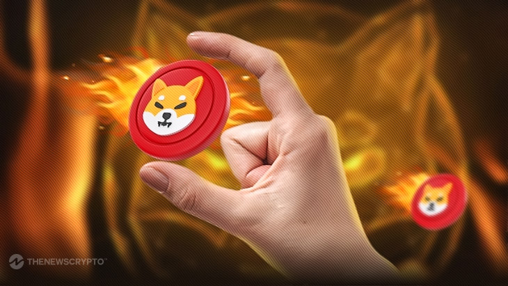 Record-Breaking Week for Shiba Inu: 6500% Burn Rate in 24 Hours & More