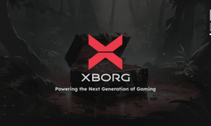 Powering the Next Generation of Gaming: XBorg Sells Out $2 Million Seed Round Community Allocation