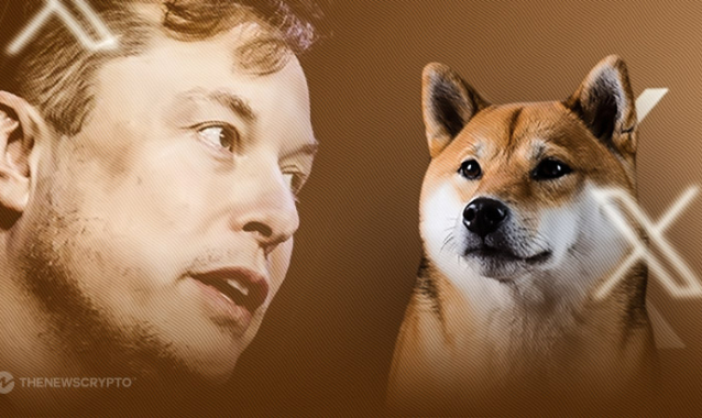 Elon Musk Says Doge Rebranding Had No Impact