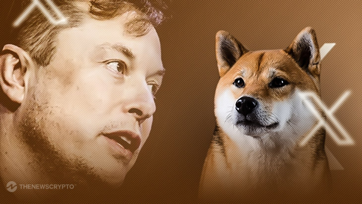 Elon Musk Says Doge Rebranding Had No Impact