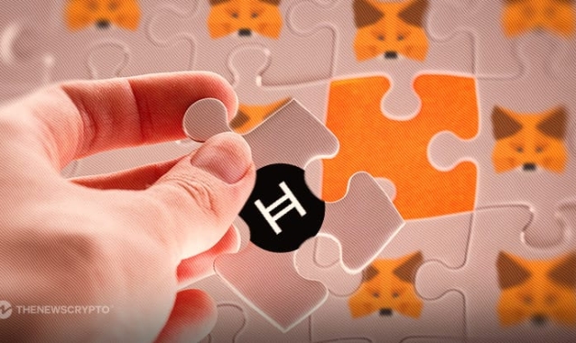 Hedera Hashgraph Announces Integration of MetaMask