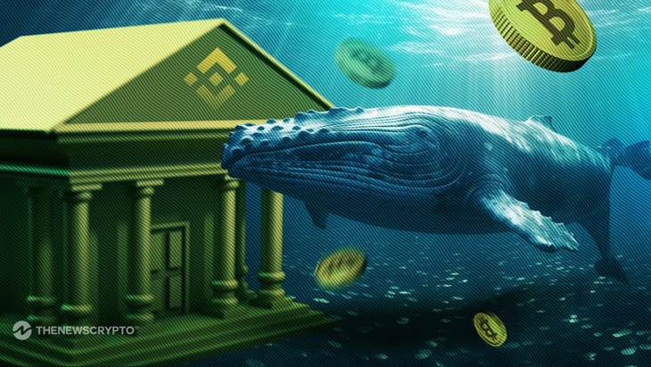 Bitcoin Whale’s $134M BTC Deposit on Binance Sparks Speculation