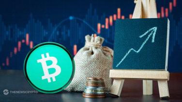 Bitcoin Cash (BCH) Investors Profitable for the First Time Since Mid-June