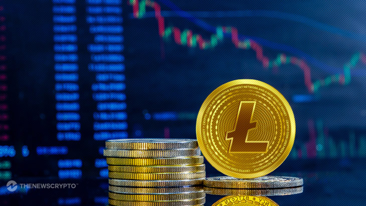 Litecoin and Dogecoin Buck Trends with Spikes in User Activity