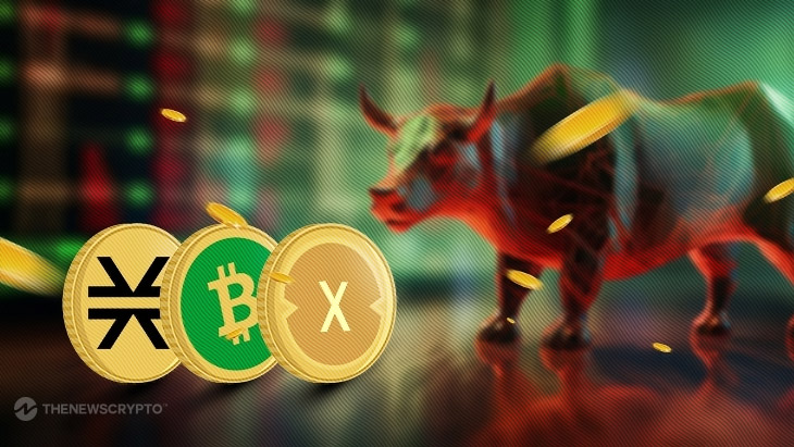 STX, BCH, and XDC Rise Most on Bullish News