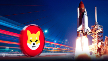 Shiba Inu (SHIB) Holder Metrics Signal Resilience and Growth Amidst Price Surge