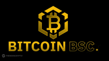 Bitcoin BSC Crypto ICO Reaches 50% Of Soft Cap After Raising Almost $2 Millions in 10 Days