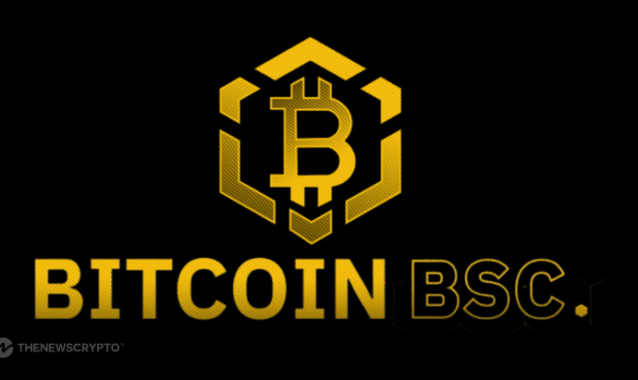 Bitcoin BSC Crypto ICO Reaches 50% Of Soft Cap After Raising Almost $2 Millions in 10 Days