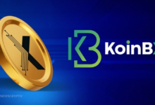 KoinBX Celebrates Milestone Achievement: Stepping into the 6th Year of Excellence in the Crypto Space