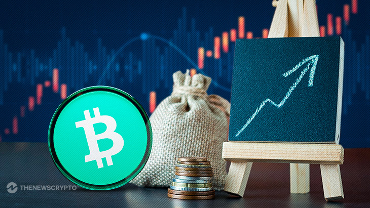 Bitcoin Cash (BCH) Breaks $230 Barrier: Time to Long?
