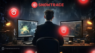 Avalanche's Snowtrace Blockchain Browser Announces Closure