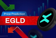 MultiversX (EGLD) Price Prediction 2023, 2024, 2025-2030