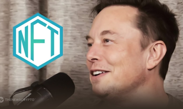 Elon Musk Calls NFTs as JPEG URLs